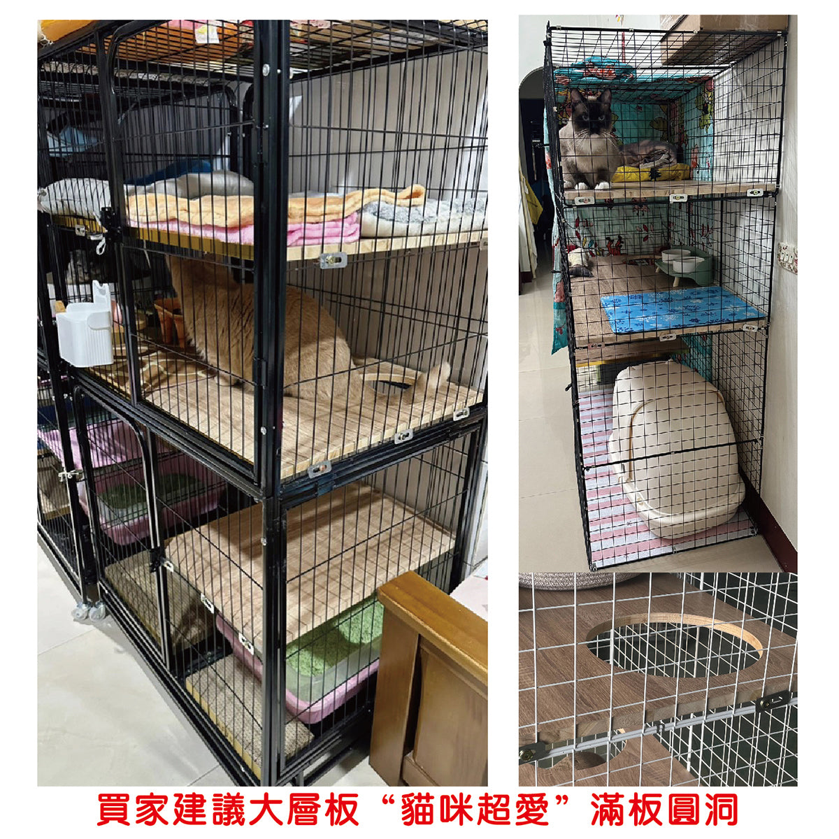 【原蝦皮熱銷】貓籠專用｜靜音層板｜滿板圓洞｜台灣製造、防震降噪加固跳板（防滑耐磨）